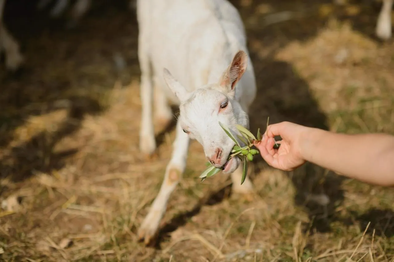 Séjour à la ferme Agriturismo Spigolo Avesa Italie